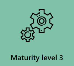 The picture represents a symbol for the third maturity level.