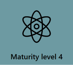 The picture represents a symbol for the fourth maturity level.